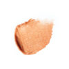 Lip Nourish - Chia Shimmer Natural Lipstick